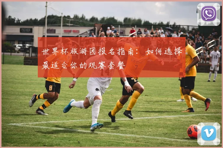 世界杯旅游团报名指南:如何选择最适合你的观赛套餐