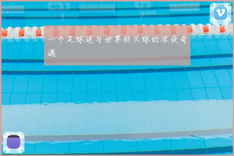 一个足球迷与世界杯买球的深夜奇遇
