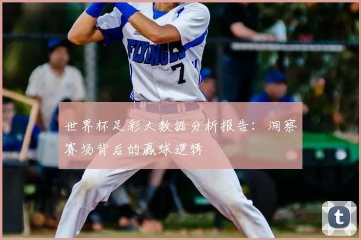 世界杯足彩大数据分析报告:洞察赛场背后的赢球逻辑
