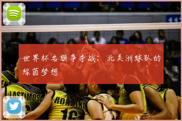 世界杯名额争夺战:北美洲球队的绿茵梦想
