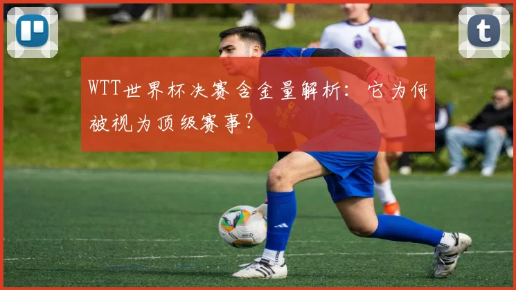WTT世界杯决赛含金量解析：它为何被视为顶级赛事？
