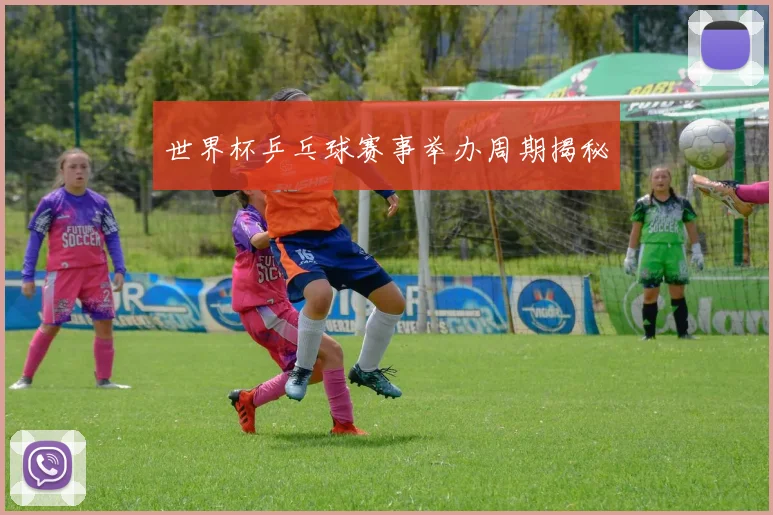世界杯乒乓球赛事举办周期揭秘