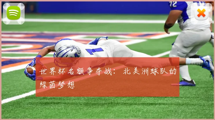 世界杯名额争夺战:北美洲球队的绿茵梦想