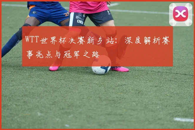 WTT世界杯决赛新乡站：深度解析赛事亮点与冠军之路