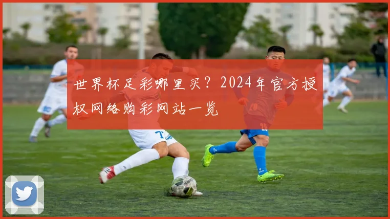 世界杯足彩哪里买?2024年官方授权网络购彩网站一览