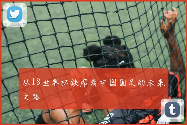 从18世界杯缺席看中国国足的未来之路