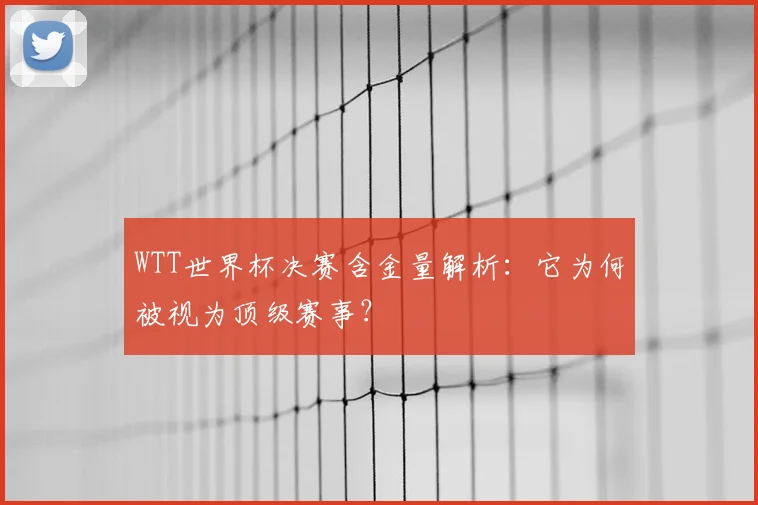 WTT世界杯决赛含金量解析：它为何被视为顶级赛事？