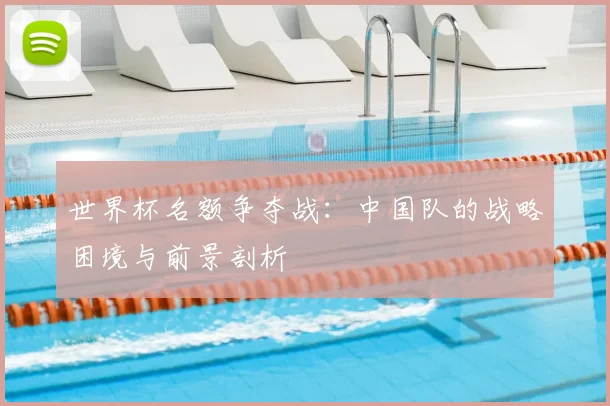 世界杯名额争夺战：中国队的战略困境与前景剖析