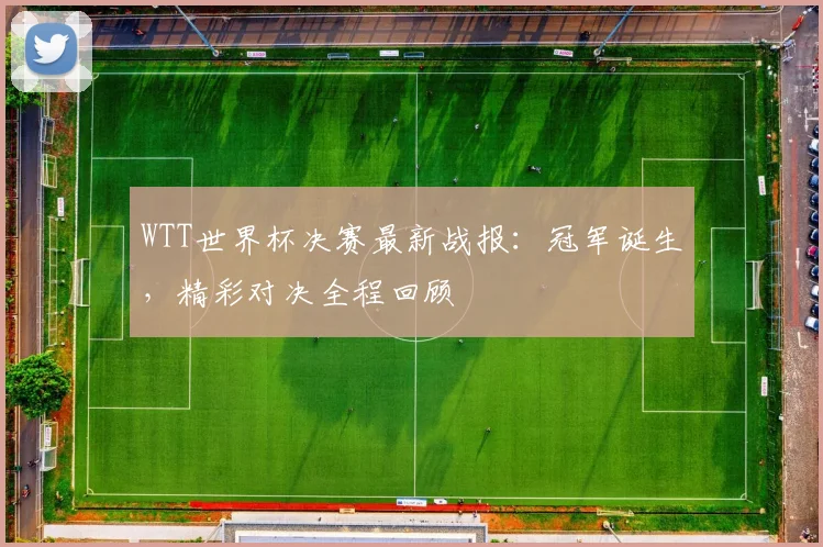 WTT世界杯决赛最新战报:冠军诞生,精彩对决全程回顾