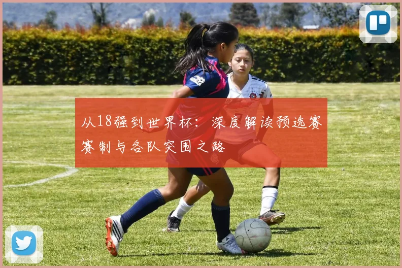 从18强到世界杯:深度解读预选赛赛制与各队突围之路